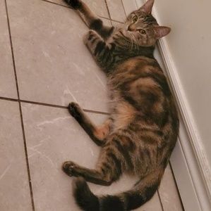 Meet your Posher, Fàtîmã